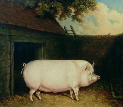 Een varken in zijn hok door E.M. Fox